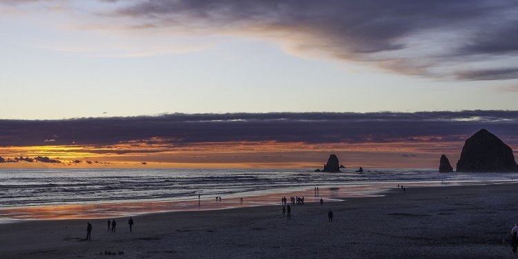 Pet Friendly Hotels in Cannon