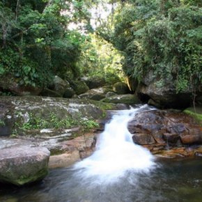 Cleveland, Tennessee, is next to the Appalachians and its rivers and rafting.