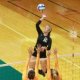 Cleveland State Community College basketball