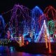 Cleveland Zoo Christmas Lights