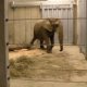Cleveland Zoo Ohio
