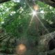 Metroparks Cleveland Ohio