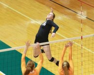 Cleveland State University Softball