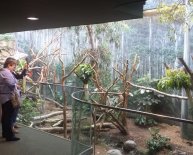 Cleveland Zoos