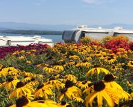 Flowers N things Cleveland TN