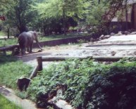 Rainforest Cleveland Zoo
